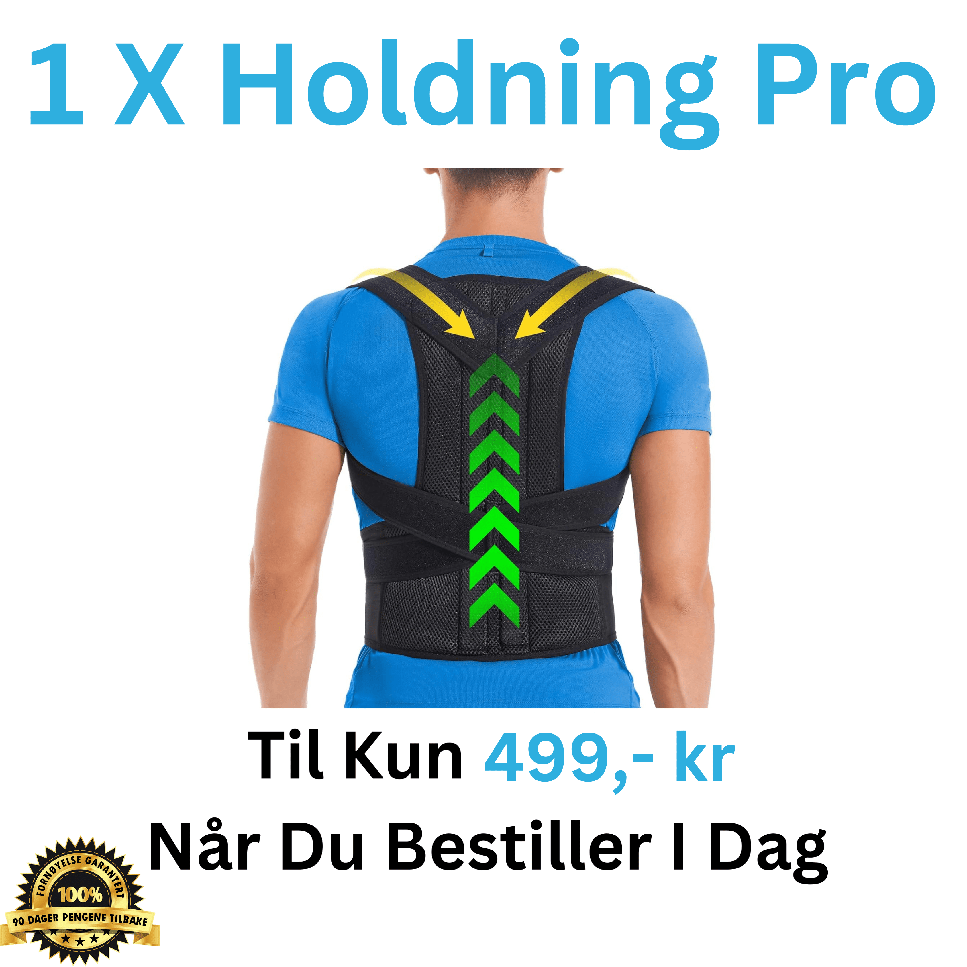Holdning-Pro™